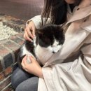 행복한횟집펜션 이미지