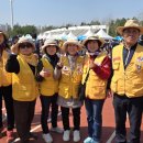 고양시 하프마라톤 대회 이미지