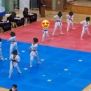 MNT 태권도 스포츠센터 네이버블로그