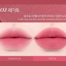 [올리브영] 올영픽 틴트 추천 딘토 102 레가토 발색 후기