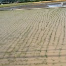 각남면사무소 이미지