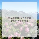 페이스터치 이미지