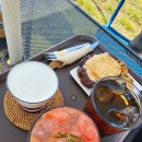 마리올라 이미지