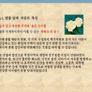 봉곡동124 이미지