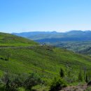 맘모스타워 이미지