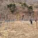 옥산2농장 이미지