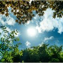 고요한 아침 이미지