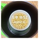 이케이스마트팜 | [콩나물기르기] 집에서 콩나물키우기 : 실제 재배기