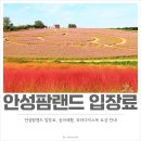 농협경제지주 안성팜랜드 승마센터 이미지