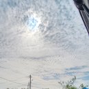 월림공간 이미지