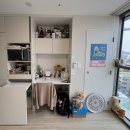 통일로 동물병원 | 장기 거주자의 셀립 은평 A 후기(비용 다 말해줌)