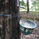 김광석 농장 이미지