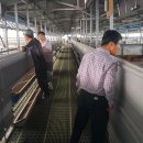 충북염소농장 이미지