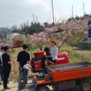 최성용농장 이미지