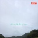 세컨더블비 이미지