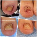 루미가넷(제주) 네이버블로그