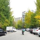 삼덕 공인중개사사무소 이미지