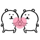 에버루스 Daum카페