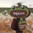 대명유수지 - 3898 | 대명유수지