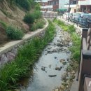 정량천 생태하천 이미지