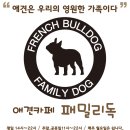 패밀리독 이미지