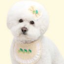 후르츠봉봉 이미지