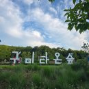 다온숲 | 구미 가족, 애견동반 산책하기 좋은 곳 구미다온숲 후기