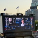 레츠고블럭 | 5월 16일 두산 vs 롯데 ⚾️ 잠실구장 5시경기 네이비 331블럭 12열 시야 그늘 브뤼셀프라이 이가네떡볶이