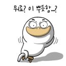필하우스펜션 - 경주시 물천안길 106-15 | 필하우스펜션