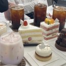 Biscuit 비스퀴 이미지