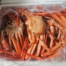 포항 홍게 가성비맛집 3만원의 행복 아영수산