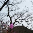 고박사 보청기 이미지