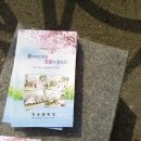 경포호수 2 이미지