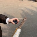 미소당구카페 | 에버랜드 티익스프레스 첫경험(후회), 볼링 당구 대결, 속눈썹 쇼핑