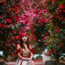 포레스트2 이미지