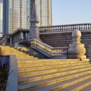 양천행정사 이미지