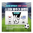 삐삐&#39;s 건어물 맥반석 버터구이 오징어 채🦑