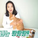 신세계약국 이미지