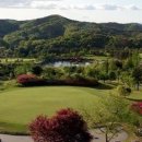 시그너스CC(대중제) 이미지