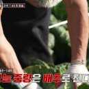 정선헬스 이미지