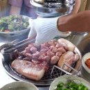 제주돈돼지 Daum카페