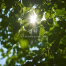볕뉘 - 의정부시 | 볕뉘