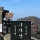 읍성마을2길 이미지