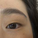버드속눈썹 | [부산 서면 전포 속눈썹] 속눈썹 연장 유목민 드디어 정착한 버드속눈썹 후기