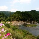 금산 이미지