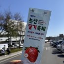 정호네농장 | 벌써 두번 째 논산 딸기 축제 방문기