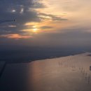 REBORN DOG 이미지