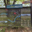 #288. 영평사(겹벚꽃 만개! 지금 안 가면 후회하는 봄나들이 명소)