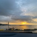 동백꽃마을 이미지