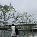 카페라이커